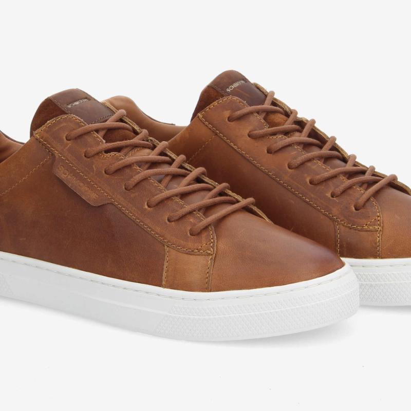 SPARKLE SNEAKER M - CICLON - CAMEL